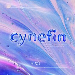 Cover of cynefin