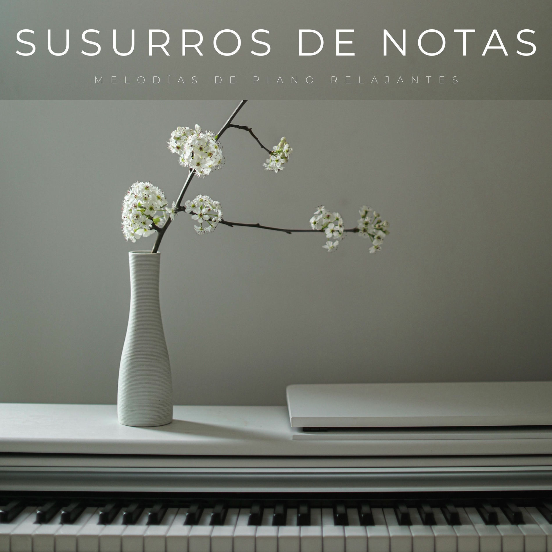 Album cover of Susurros De Notas: Melodías De Piano Relajantes