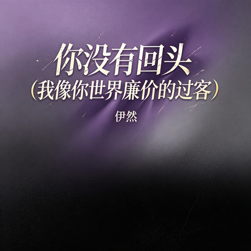 你没有回头 (我像你世界廉价的过客)