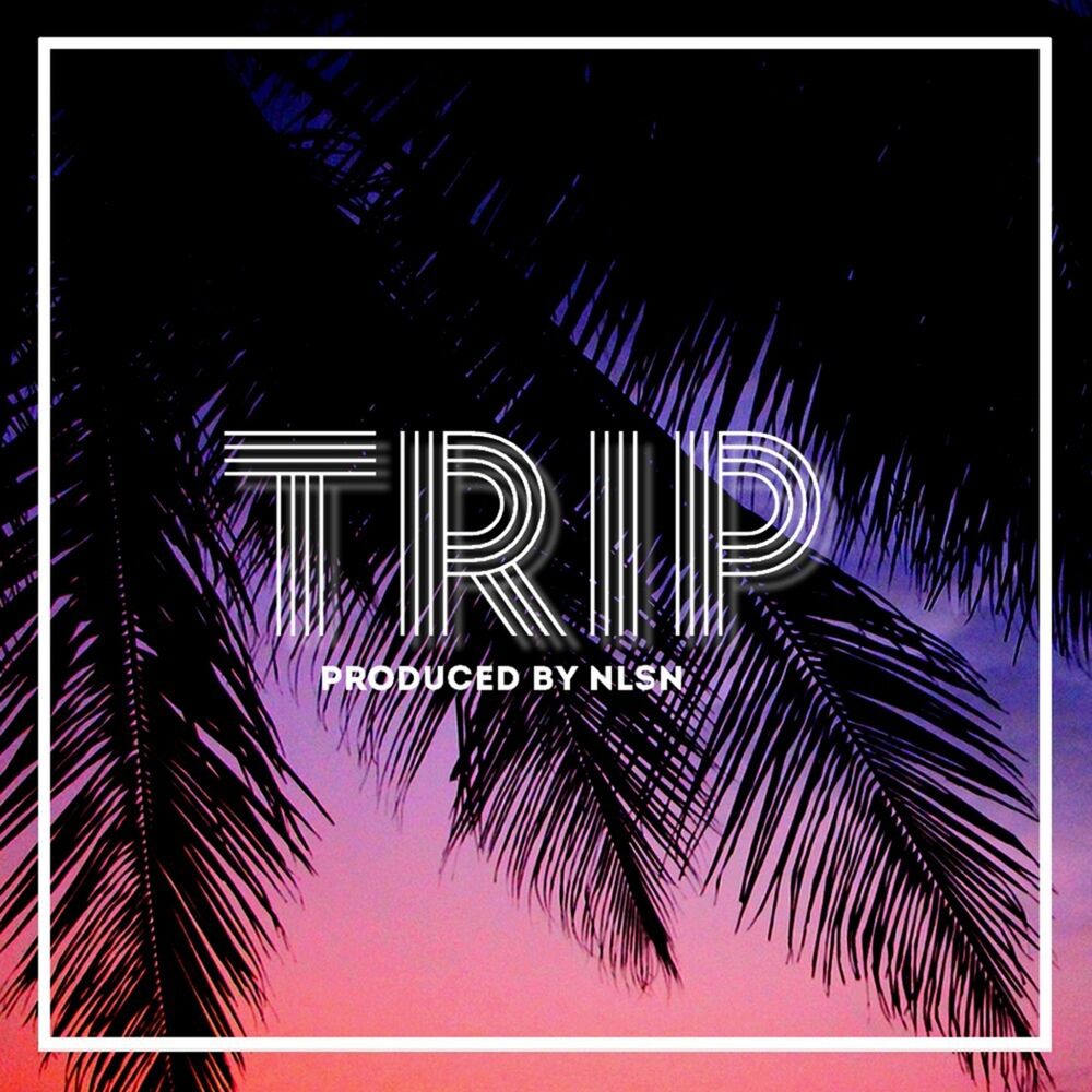 Picture of Trip
