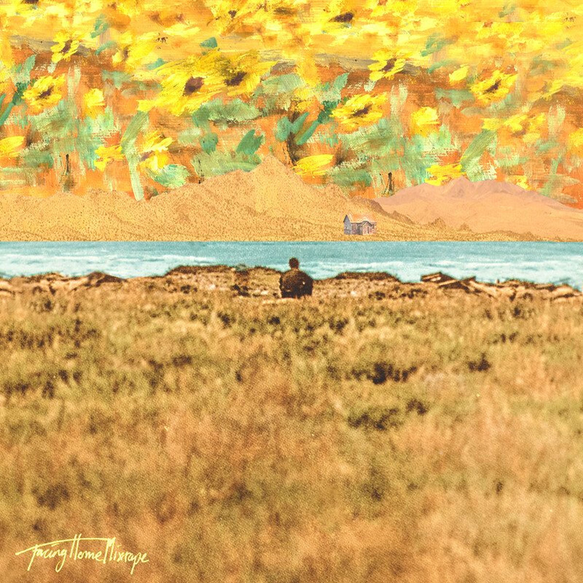 Album cover of Facing Home Mixtape