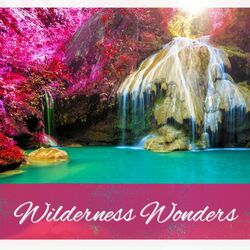 Cover of Wilderness Wonders: An Ethereal, Serene Collection of Nature Sounds and Relaxing Music for Meditation, Yoga, and Stress Relief