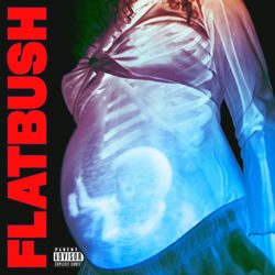 Capa de Afterlife