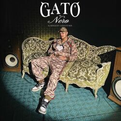 Cover of Gato Ñero