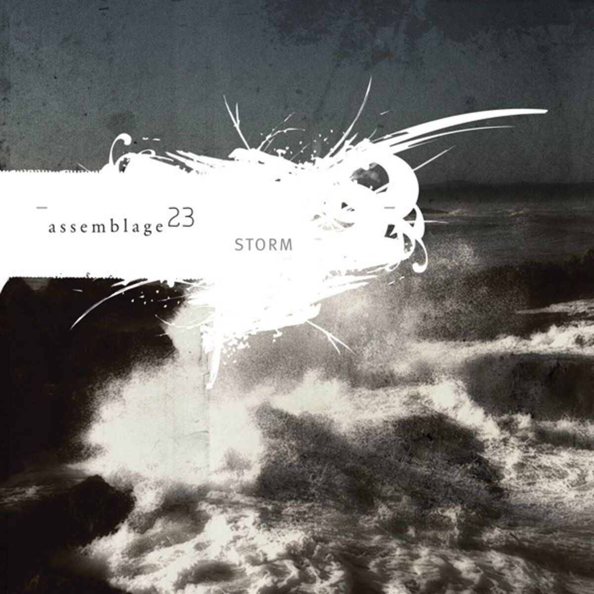 Album cover of STORM