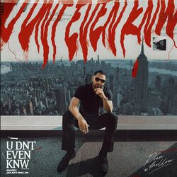 Cover of U Dnt Even Knw