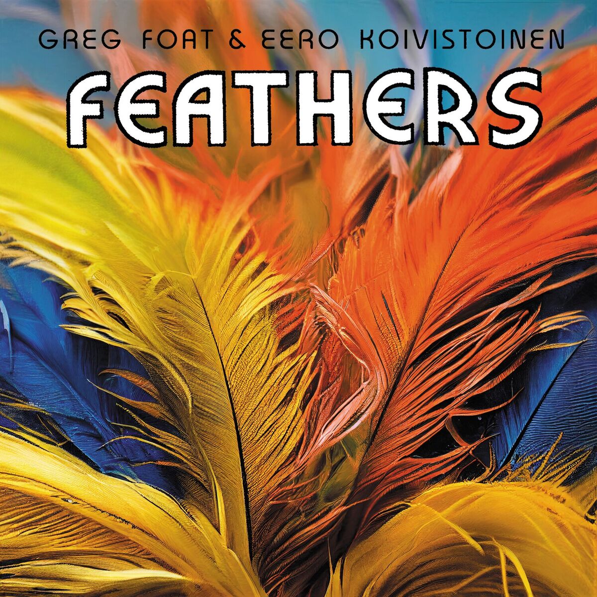 Album cover of Feathers