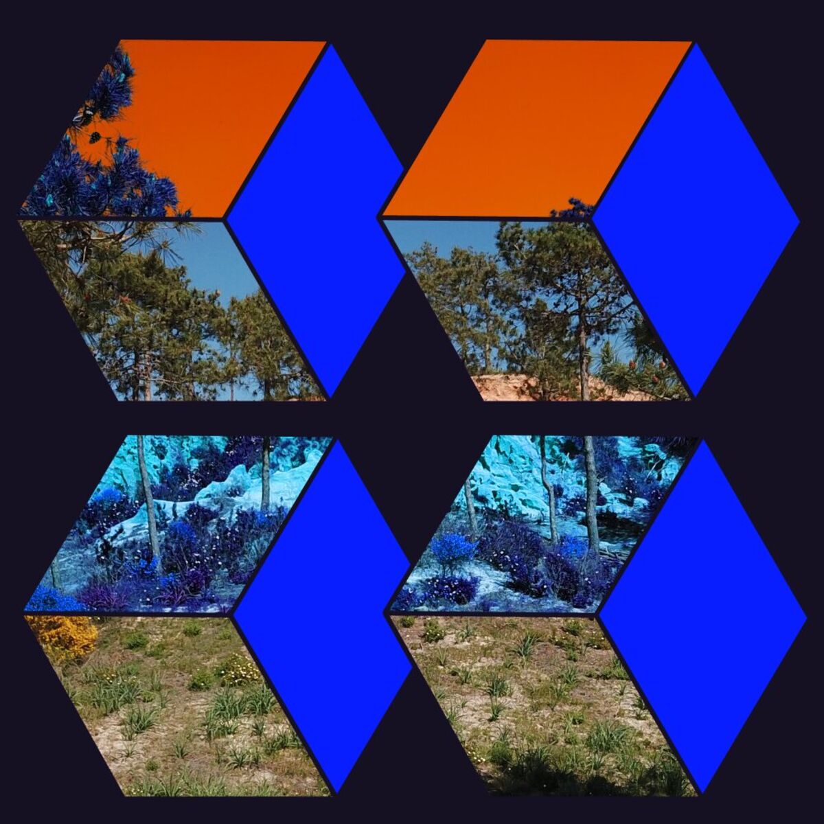Album cover of All