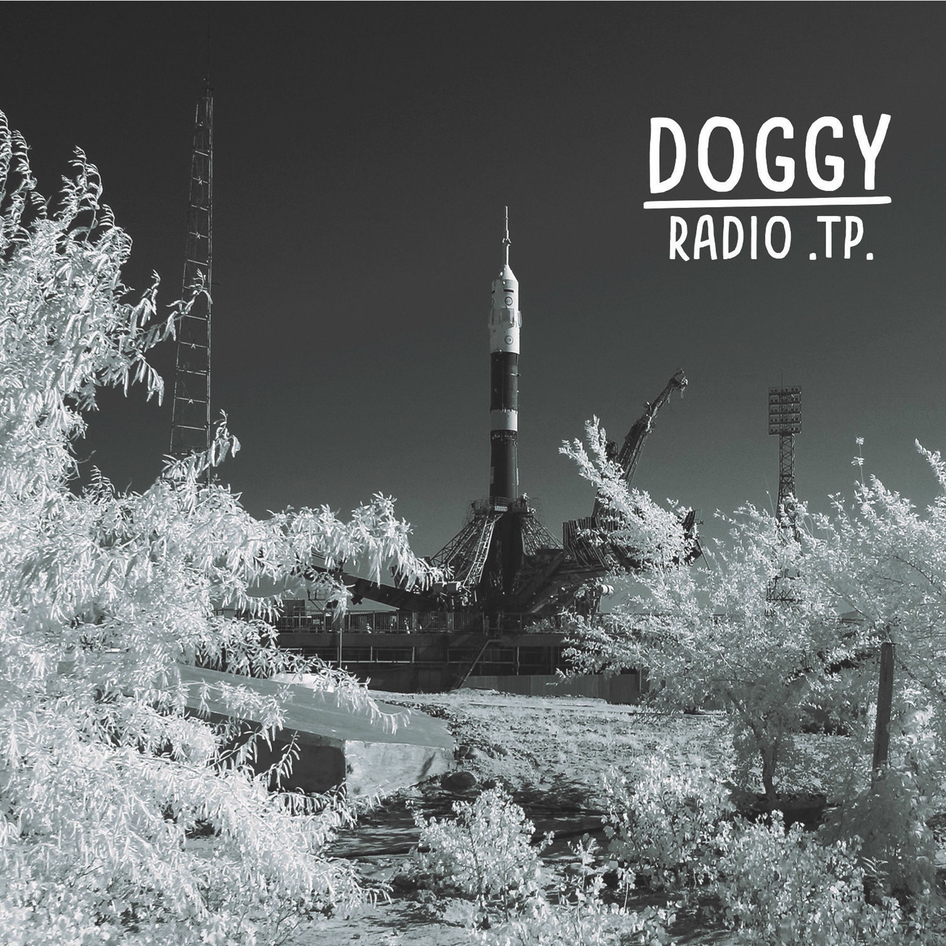 Album cover of Radio T.P.