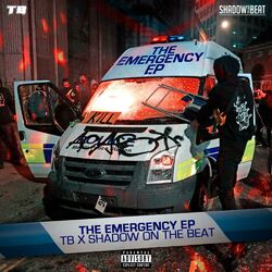 Cover of THE EMERGENCY EP