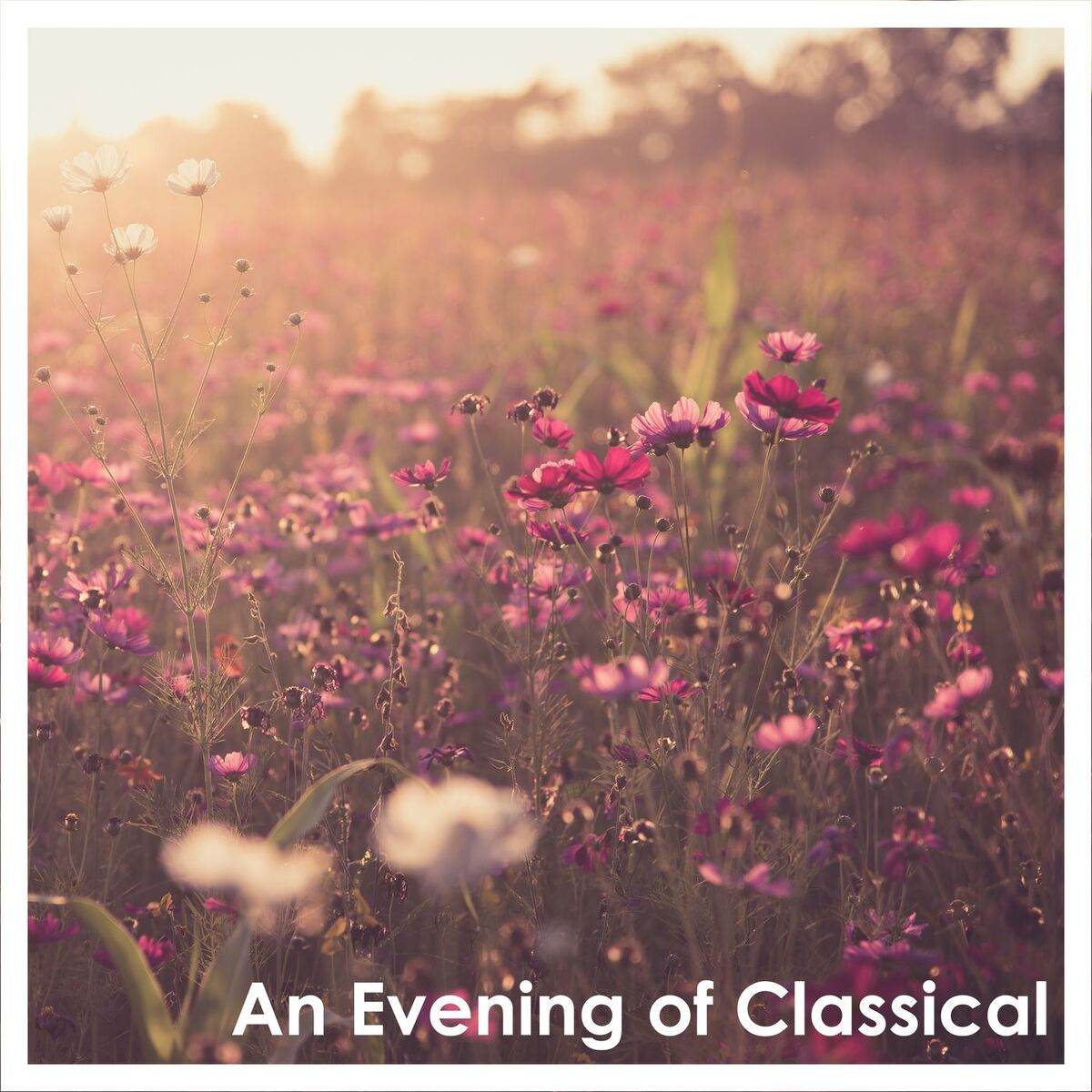 Album cover of An Evening of Classical: Brahms
