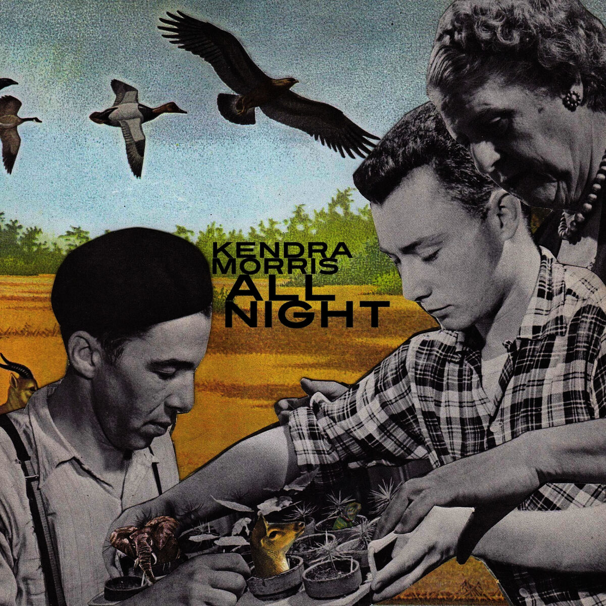 Album cover of All Night