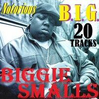 The Notorious B.I.G. Featuring 112 – Sky's The Limit – Vinyl