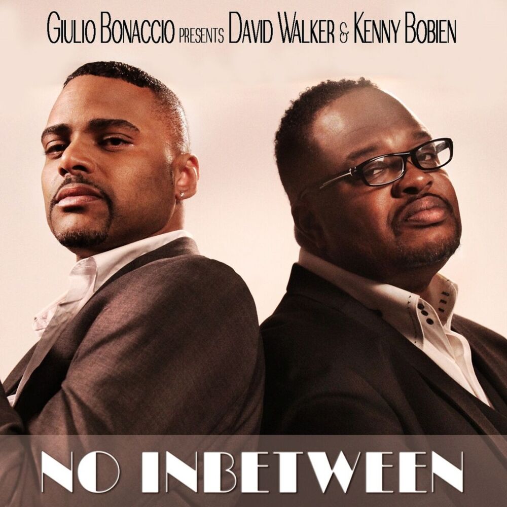 Picture of No Inbetween