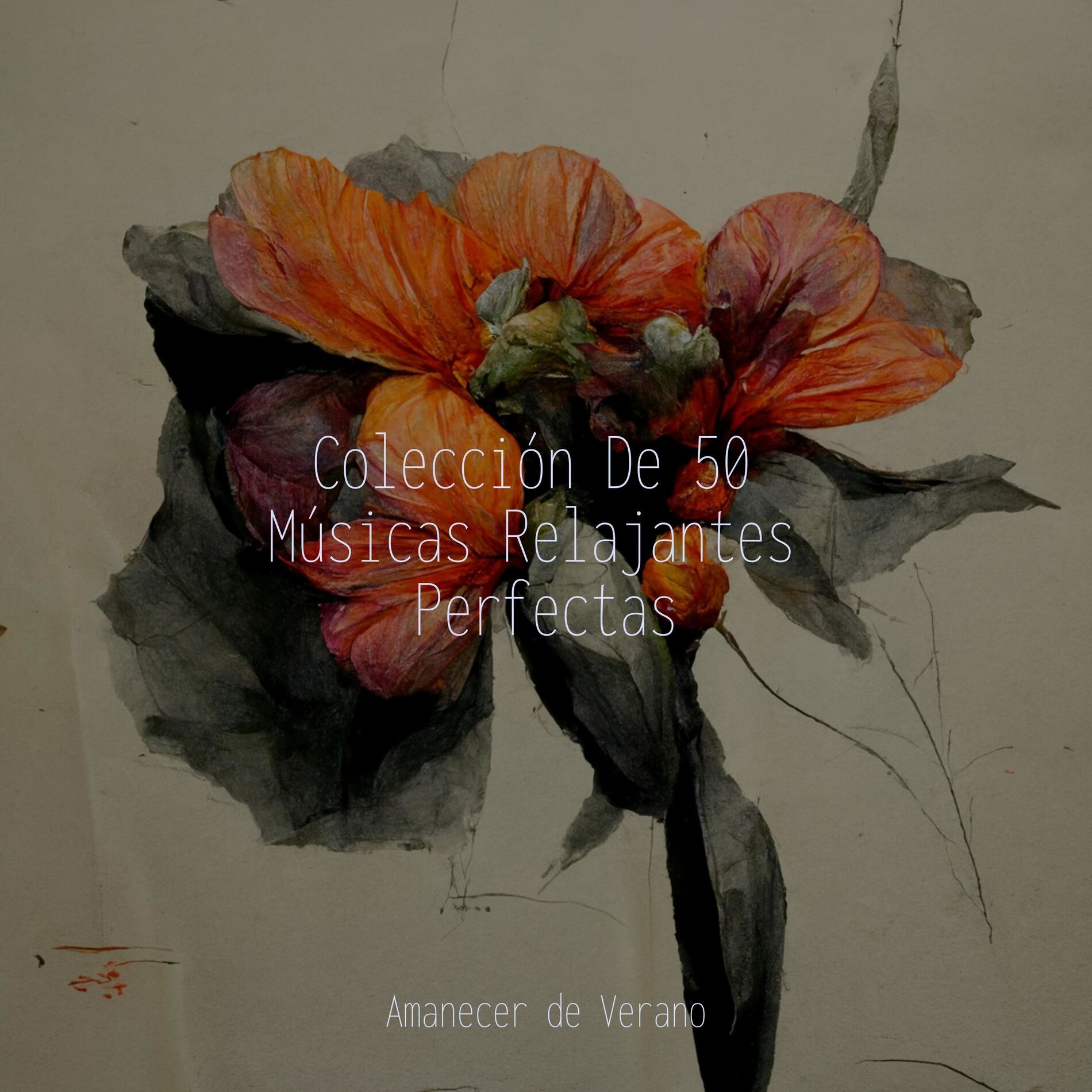 Album cover of Colección De 50 Músicas Relajantes Perfectas