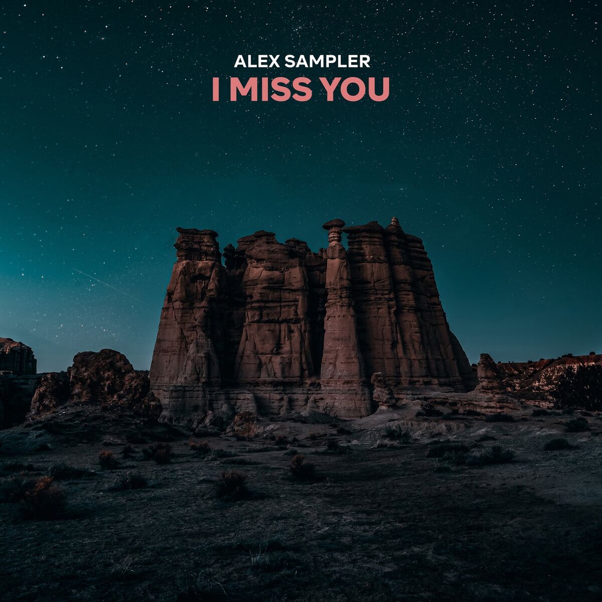 Album cover of I Miss You