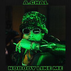 Cover of Nobody Like Me