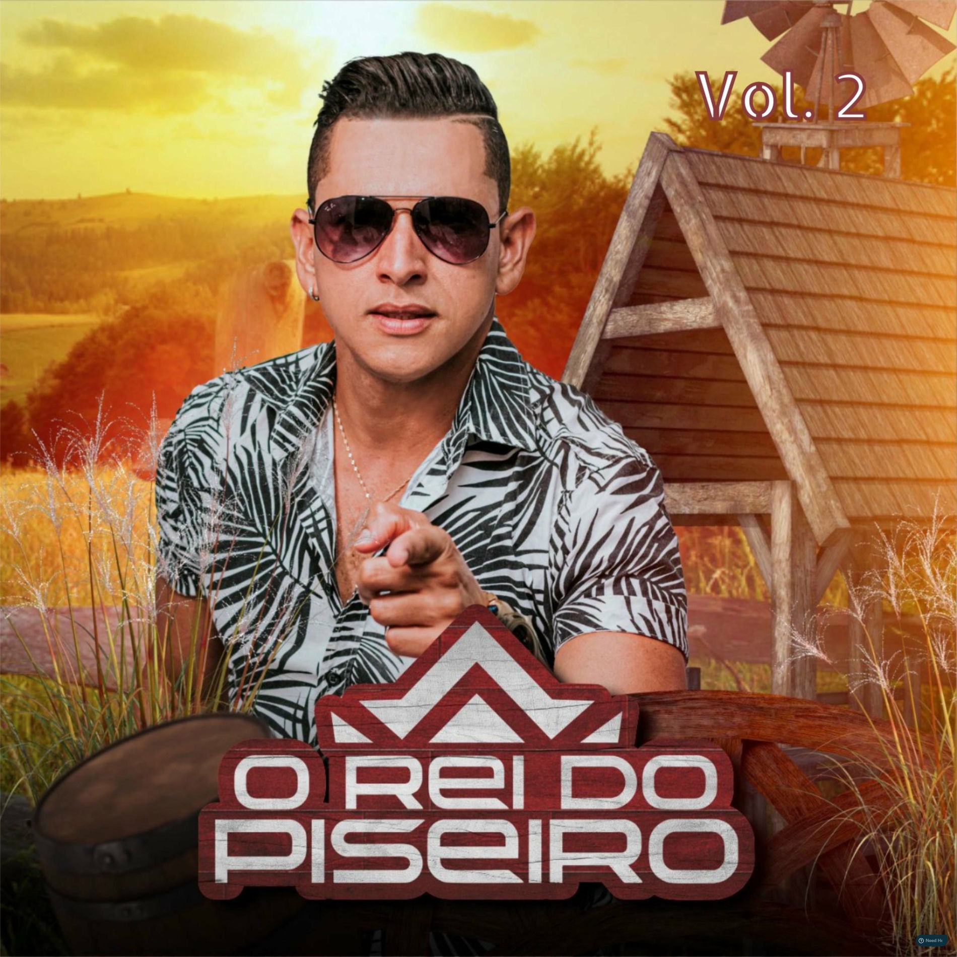 Album cover of O Rei do Piseiro, Vol. 2