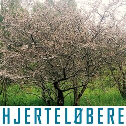 Cover of Hjerteløbere