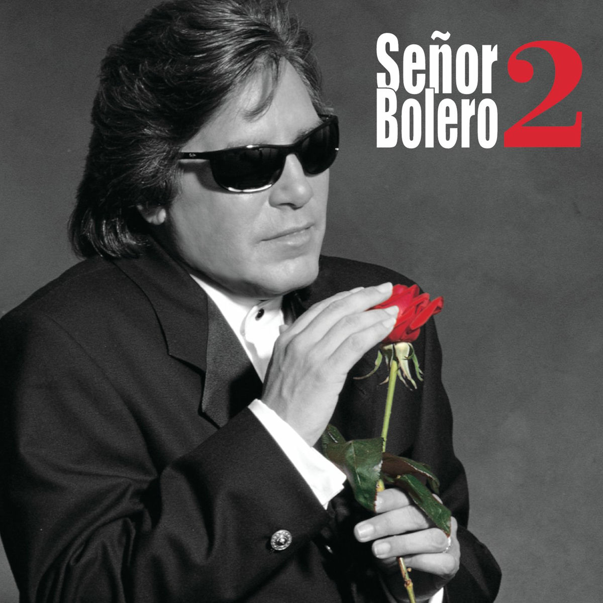 Album cover of Señor Bolero 2