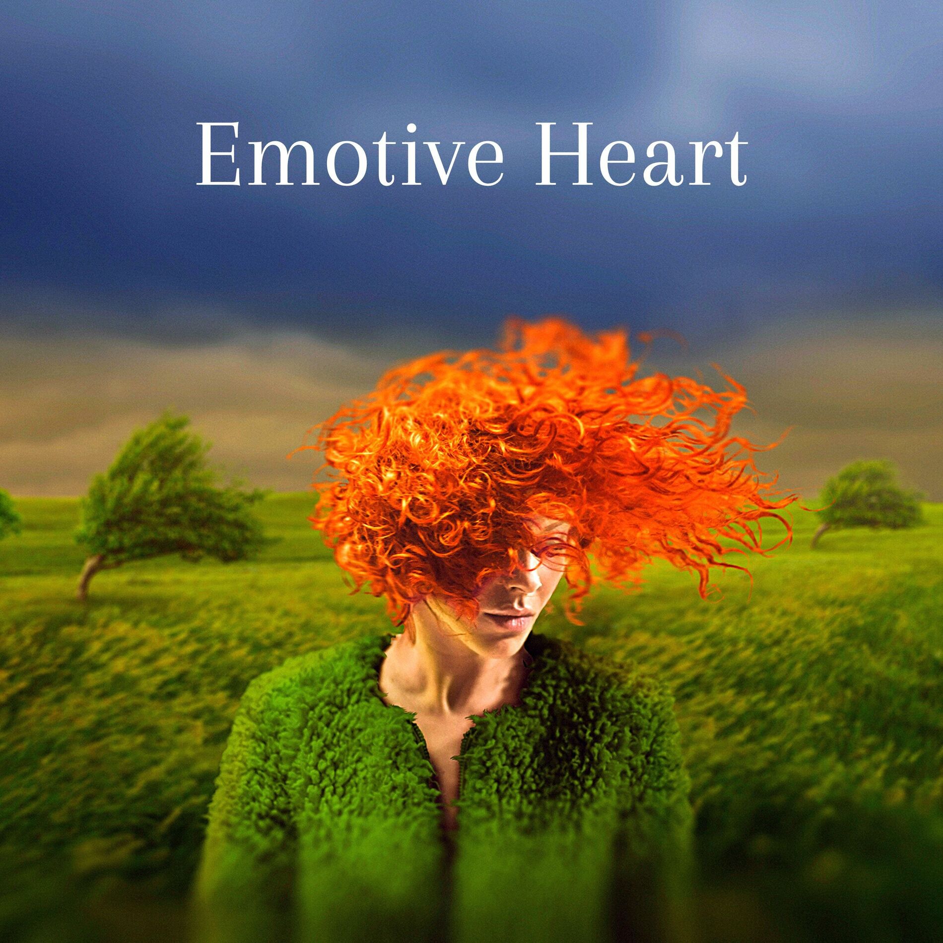 Album cover of Emotive Heart (Moments for reflection and decision-making)