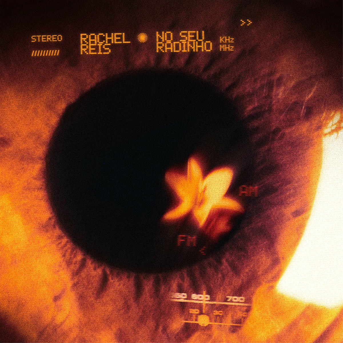 Album cover of Coisa Rara