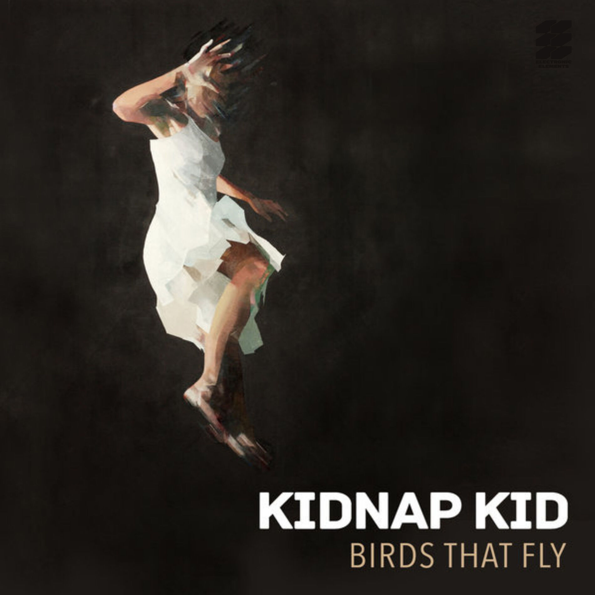 Album cover of Birds That Fly