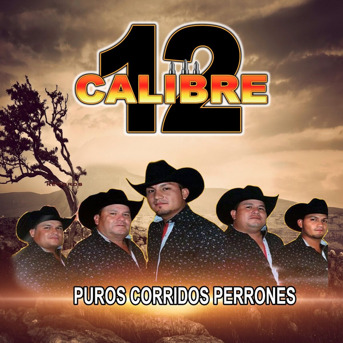 Album cover of Puros Corridos Perrones