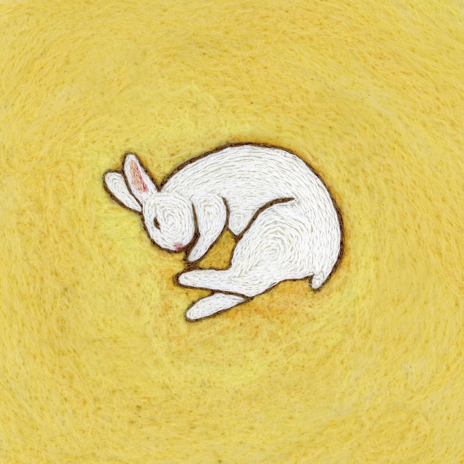 Album cover of death of a rabbit