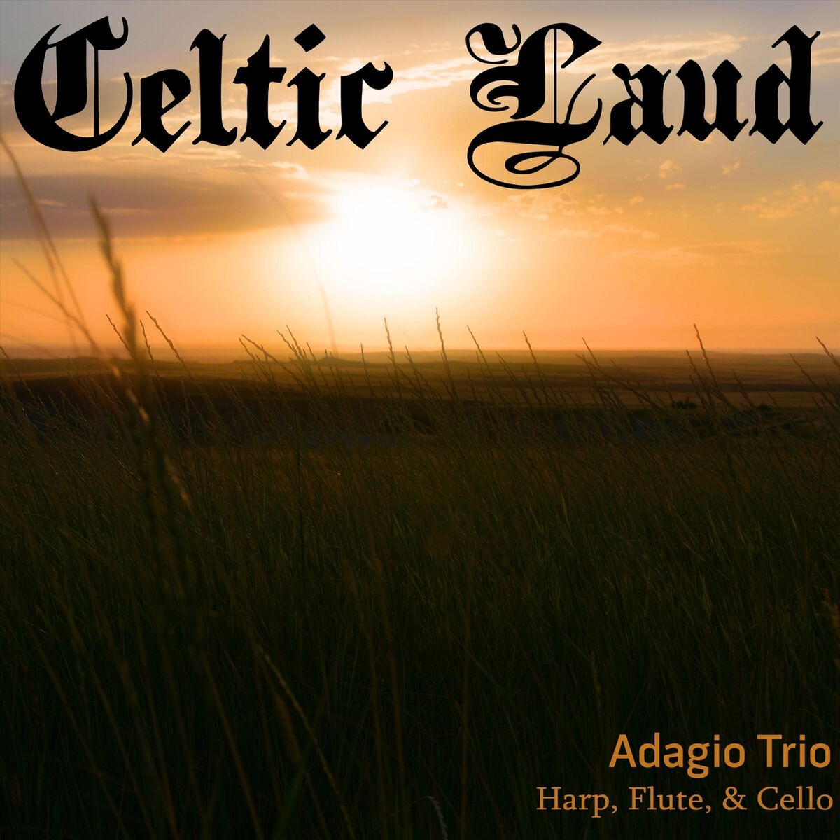 Album cover of Celtic Laud