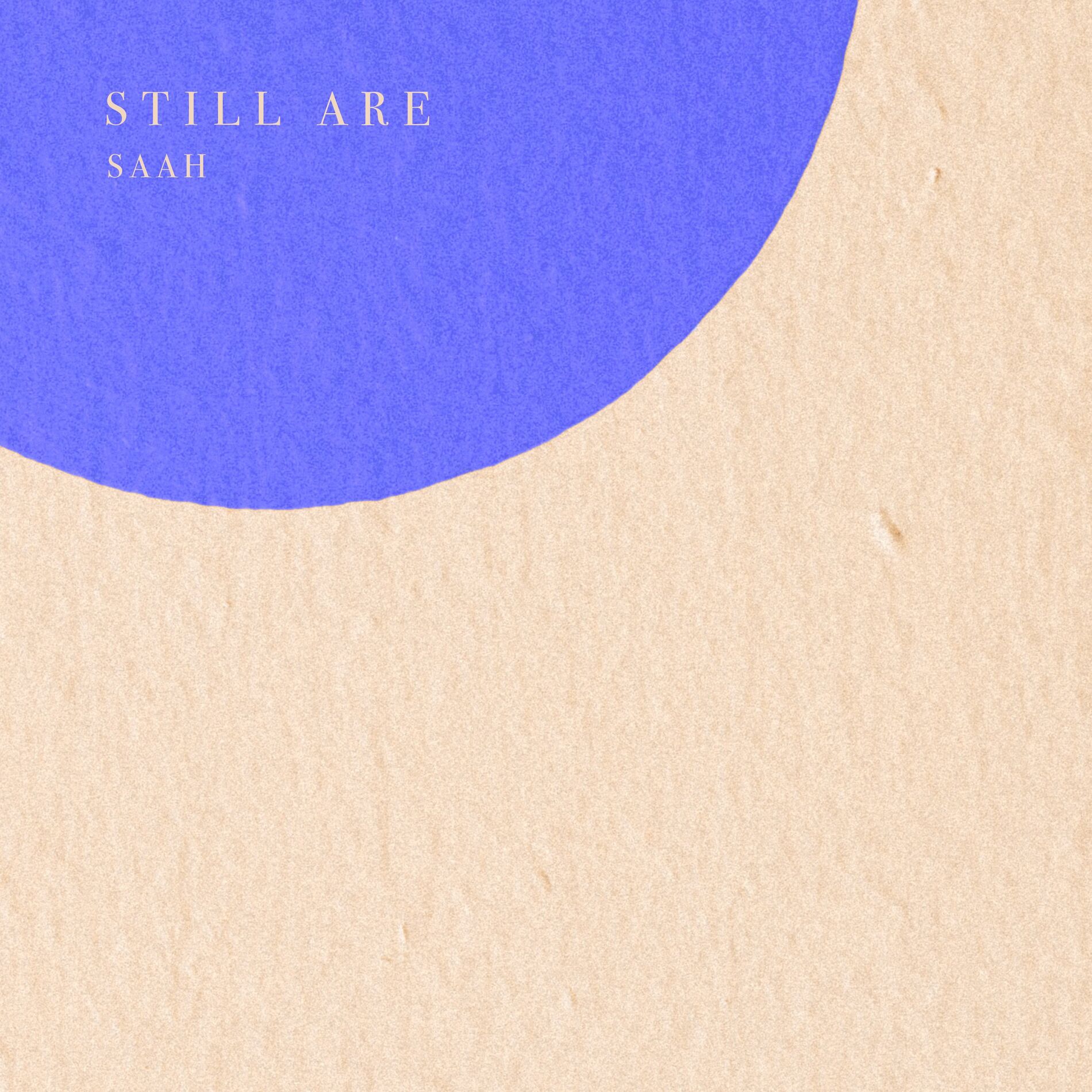 Album cover of Still Are