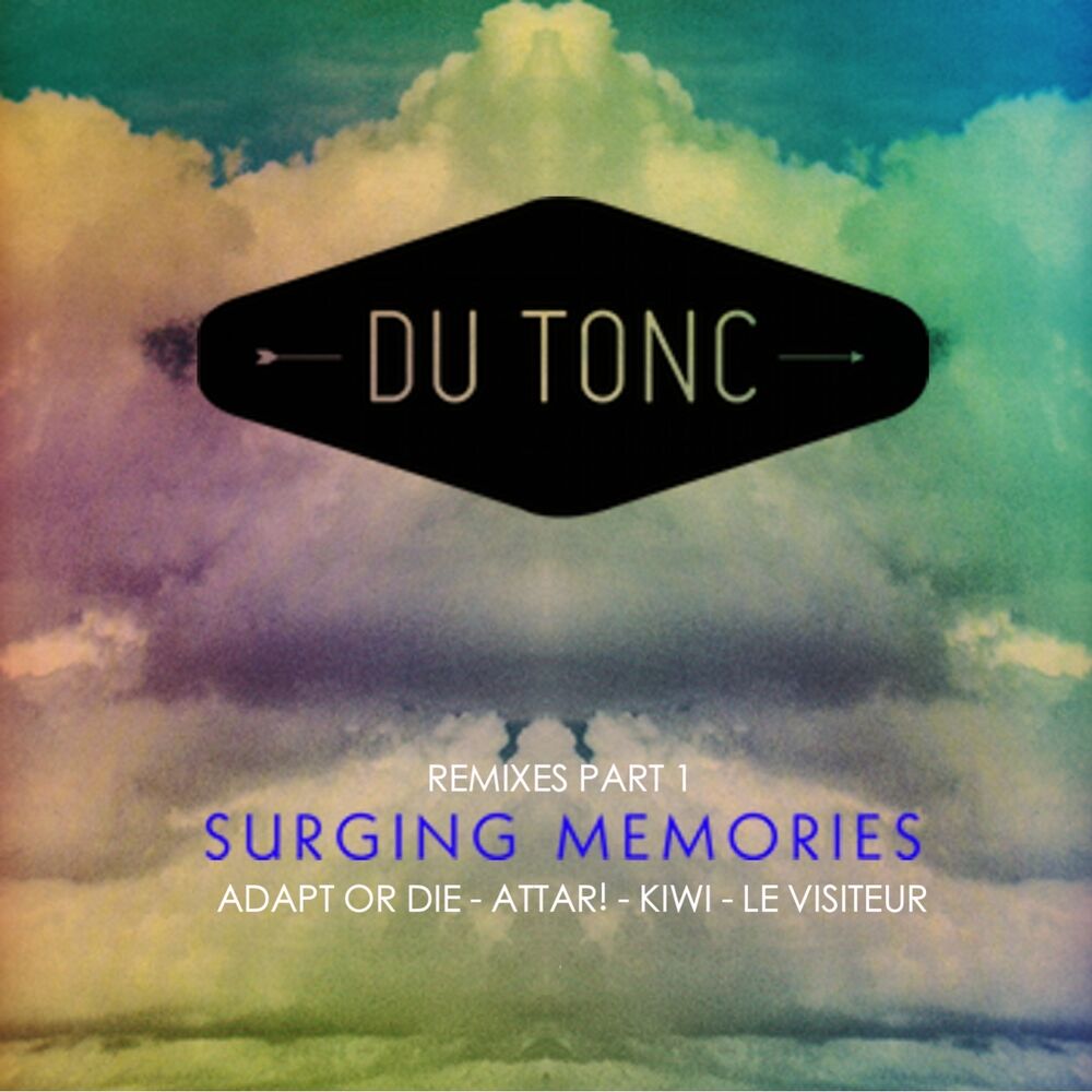 Picture of Surging Memories