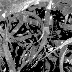 Cover of Dismantle