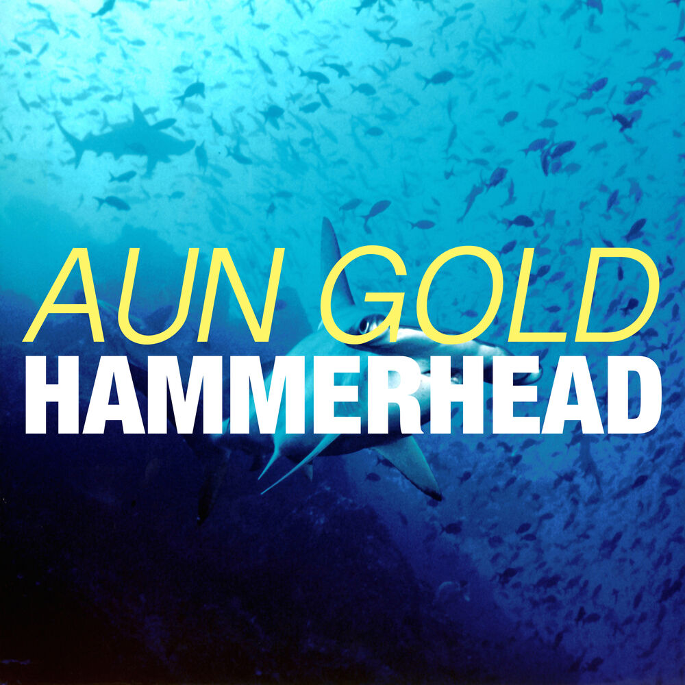 Picture of Hammerhead