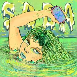 Cover of soda