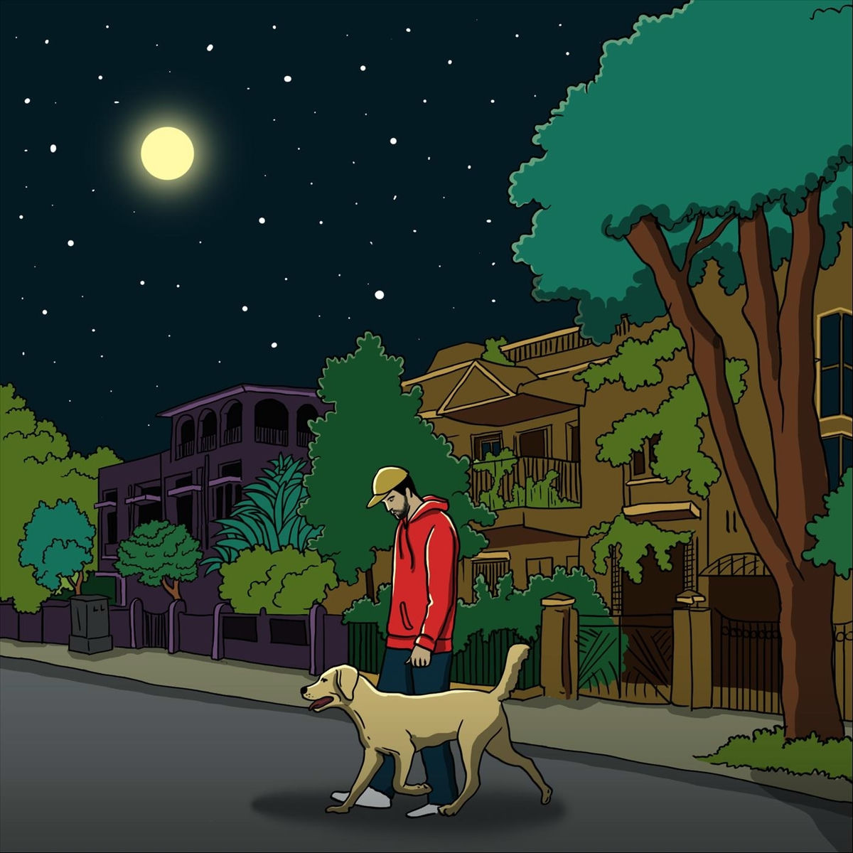 Album cover of Pardo