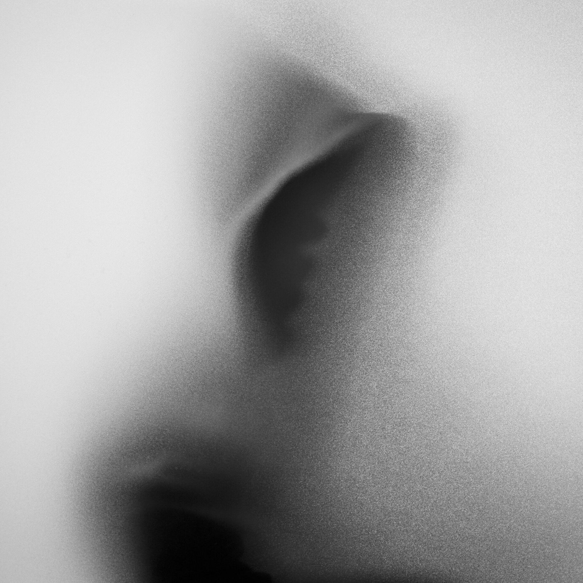 Album cover of wasted shadow