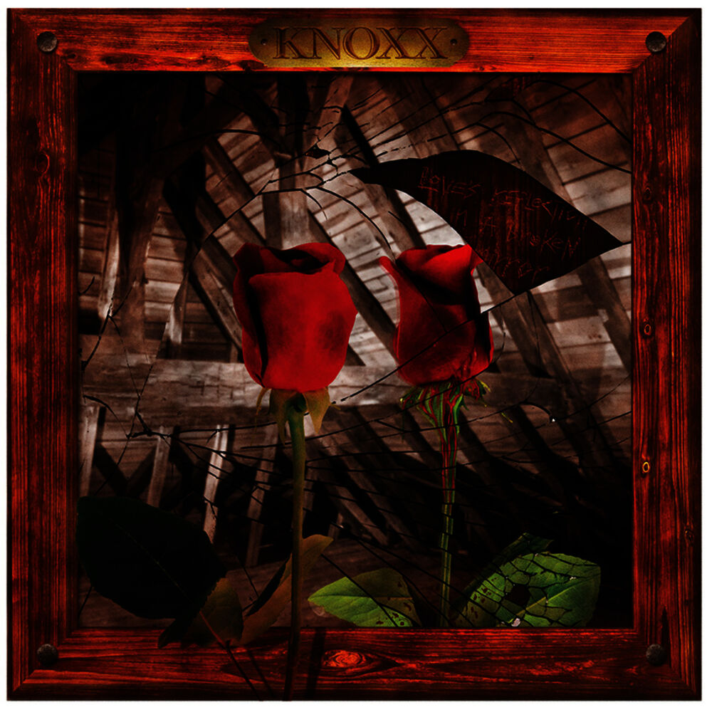Picture of Love's Reflection in a broken mirror