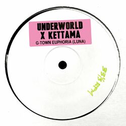 Cover of g-town euphoria (luna)