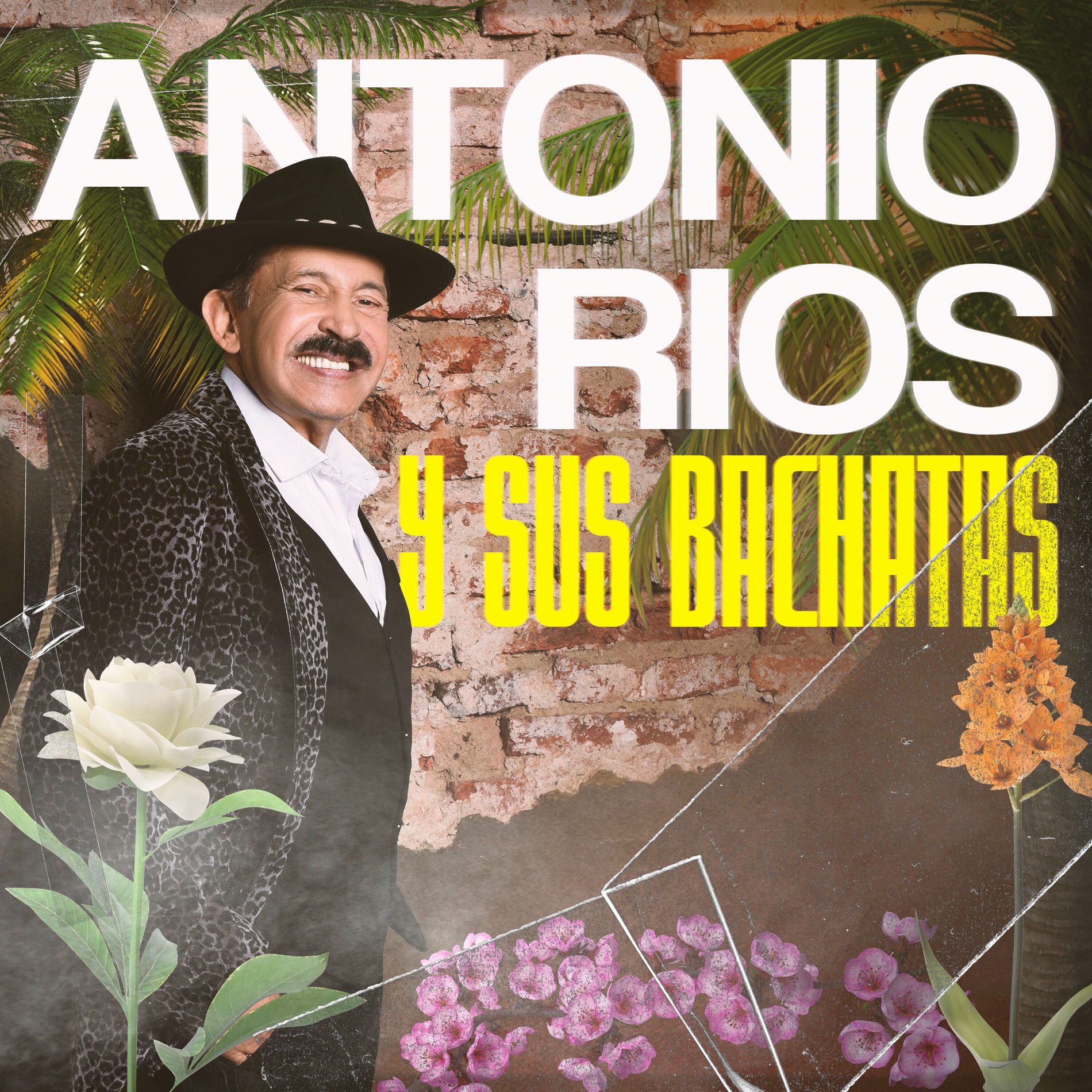 Album cover of Antonio Rios y sus Bachatas
