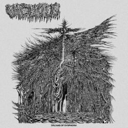 music cover