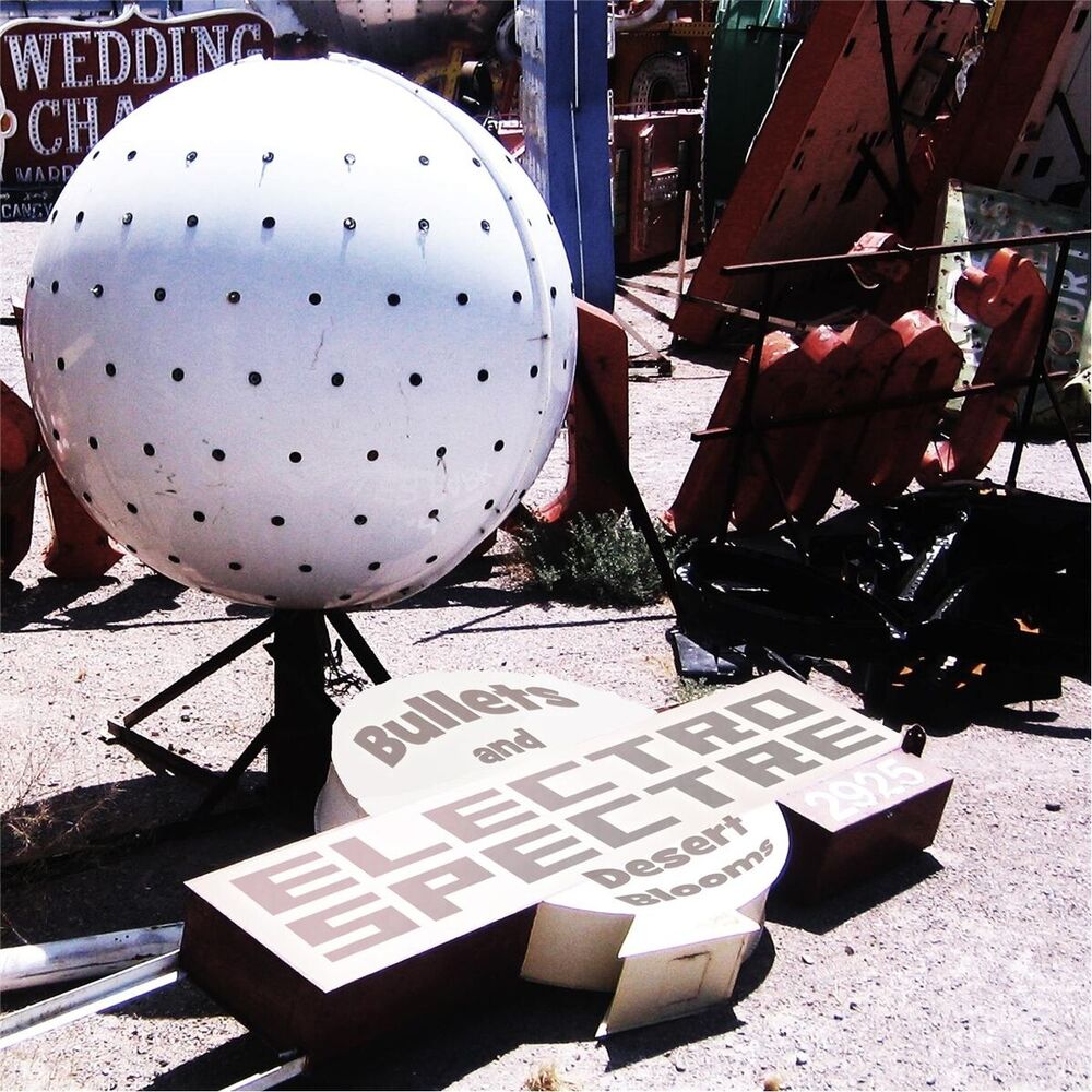 Picture of Bullets & Desert Blooms