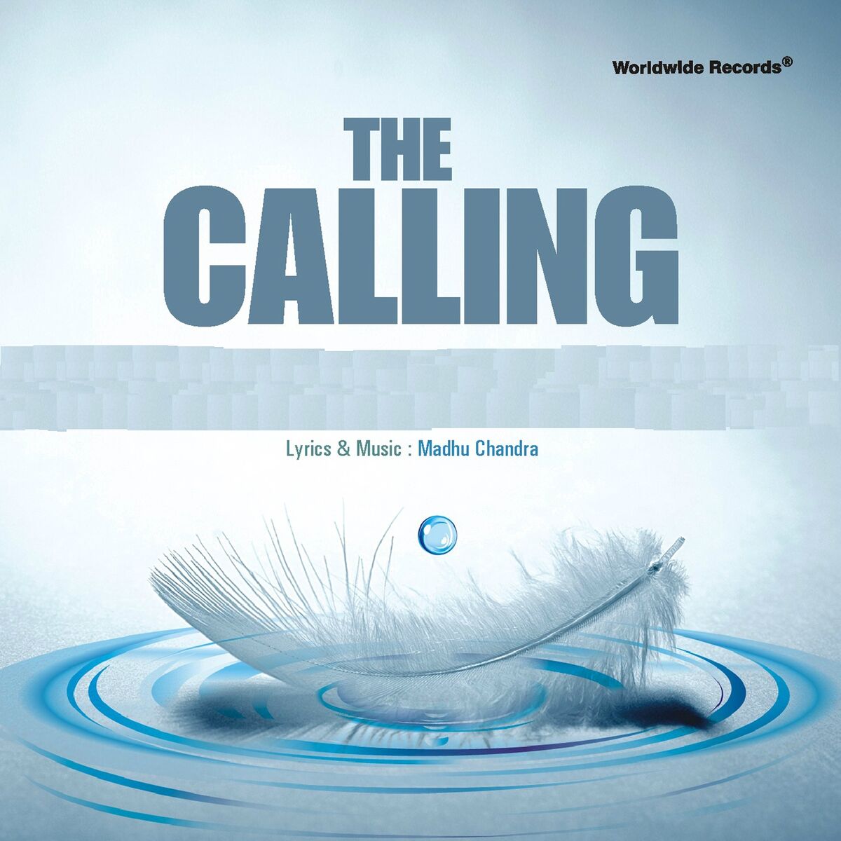 Album cover of The Calling