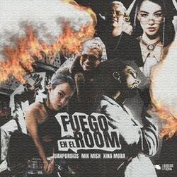 Cover of Fuego en el Room