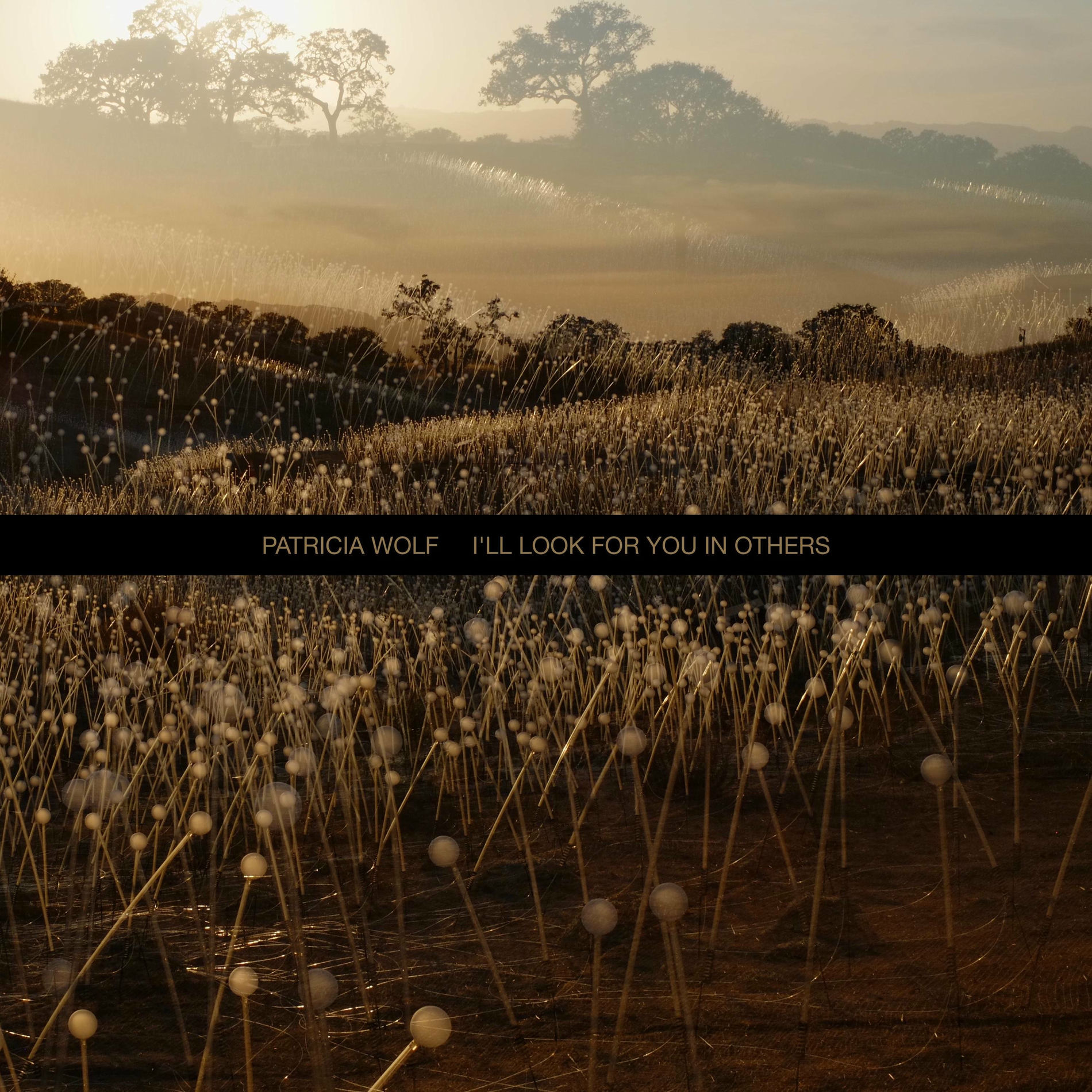 Album cover of I'll Look For You In Others