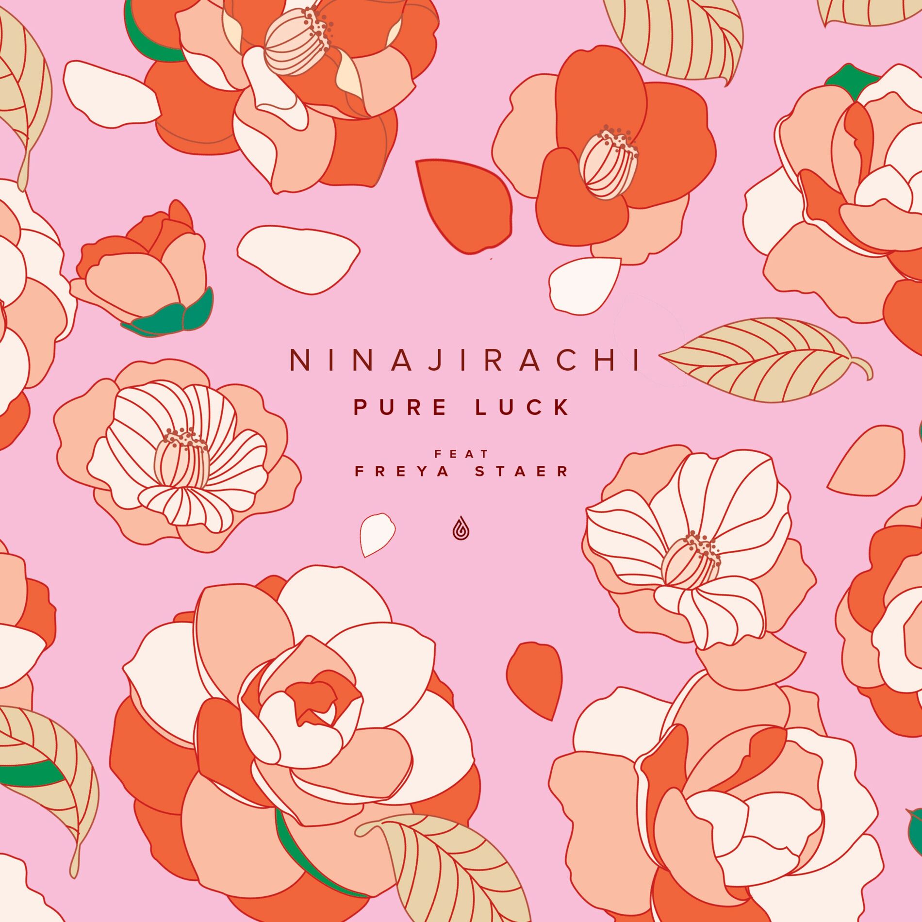 Album cover of Pure Luck