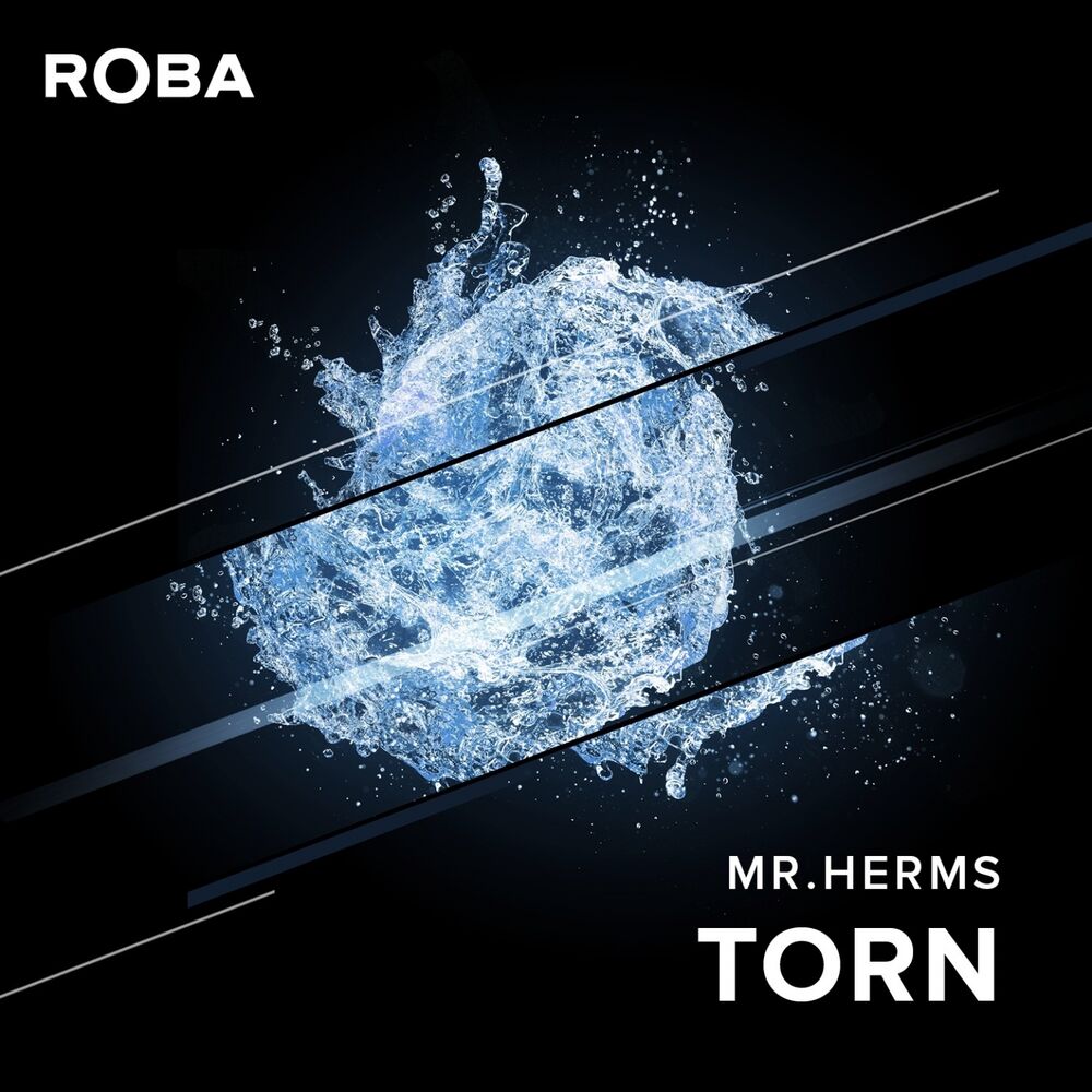 Picture of Torn