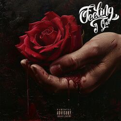 Cover of Feeling I Get