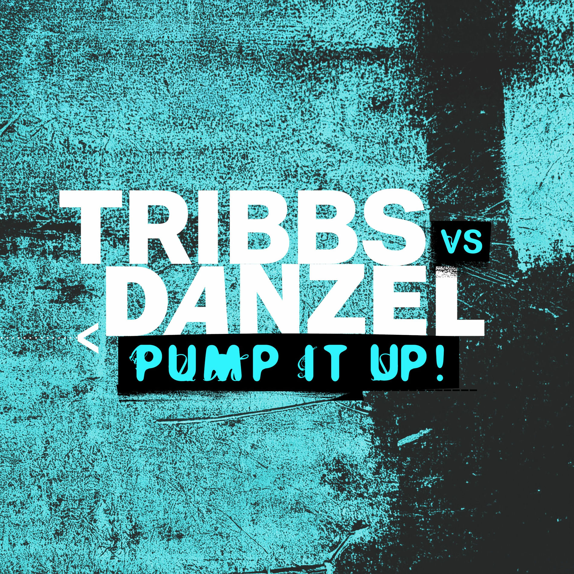 Album cover of Pump It Up
