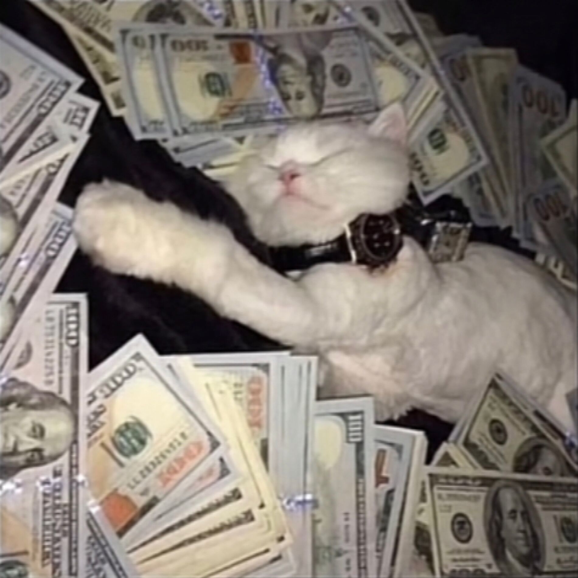 Album cover of Funds